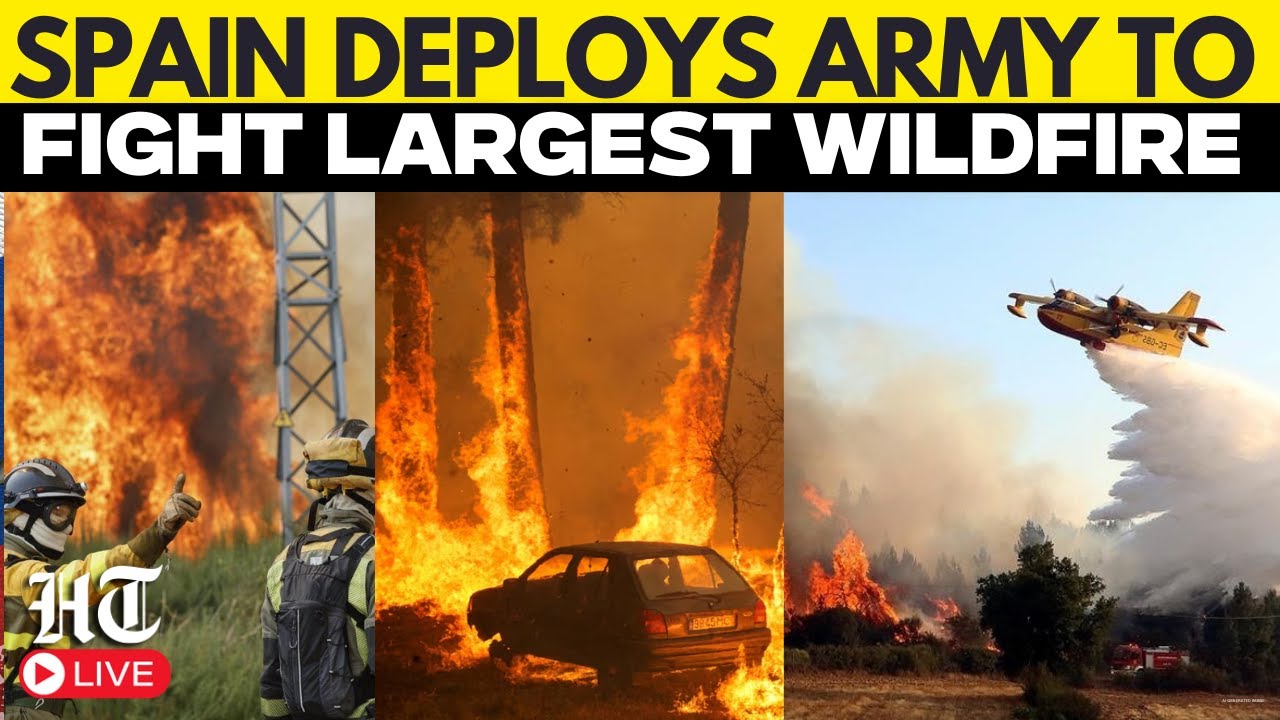 LIVE: Deadly Wildfires Devastate Spain and Portugal | Record Area Burned | Army Deployed