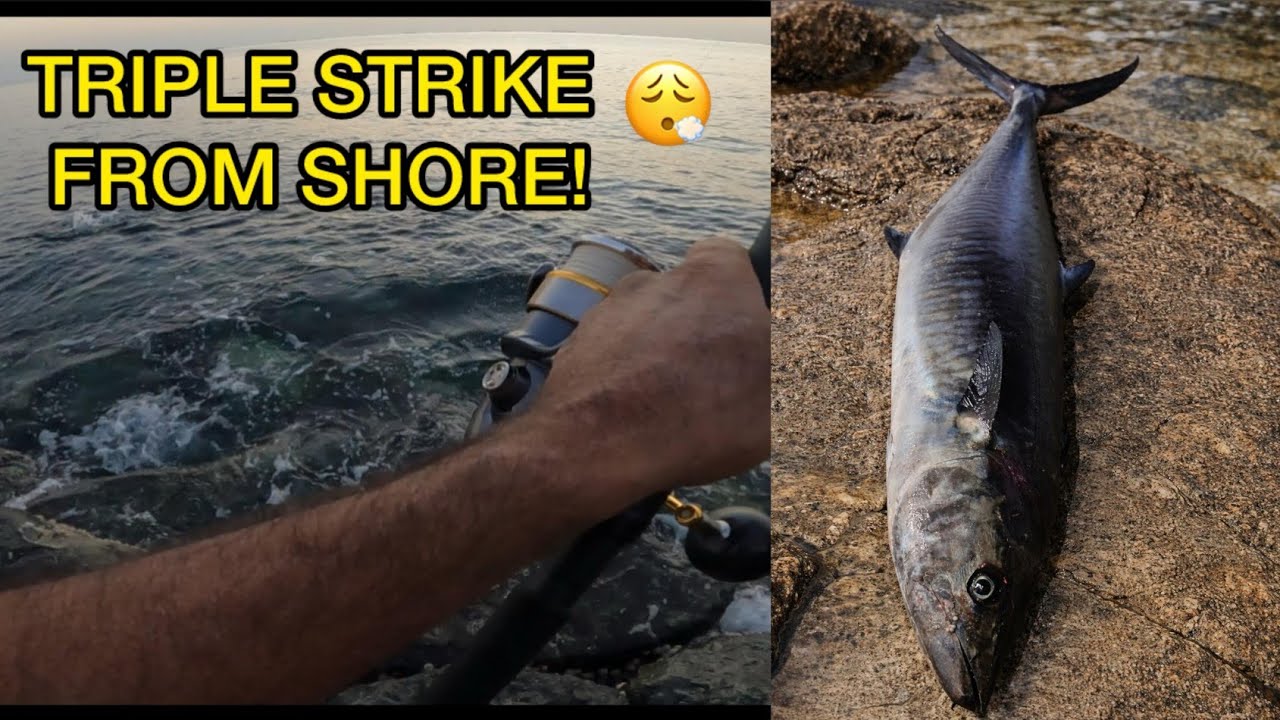 Insane Shore Fishing Catch | GT, Barracuda & Kingfish Fight🎣🐟😱