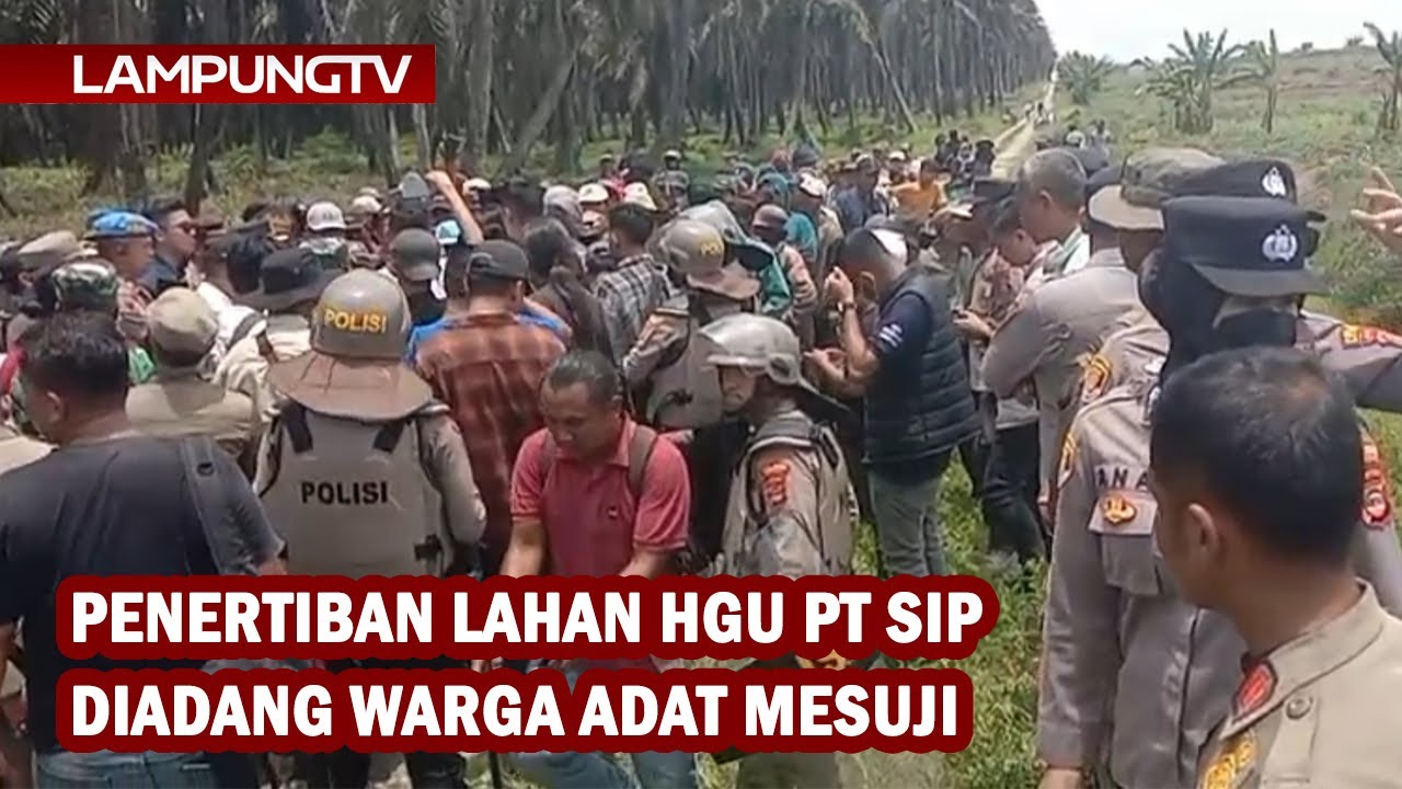 Penertiban Lahan HGU PT SIP Diadang Warga Adat Mesuji