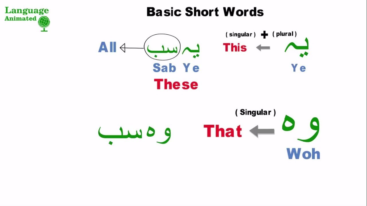 Learn Urdu - Lesson 6 - Basic Words and Phrases (Part 1)