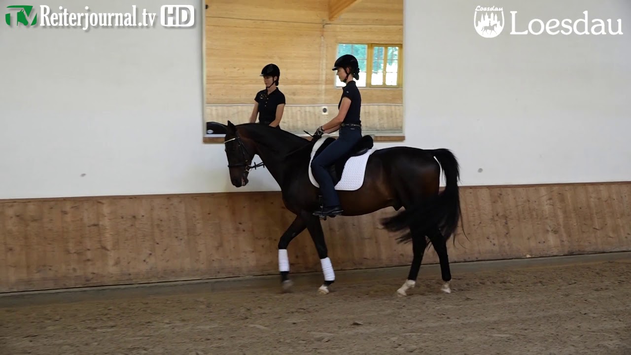 Richtig Reiten mit Anja Beran, Teil 1 von 2