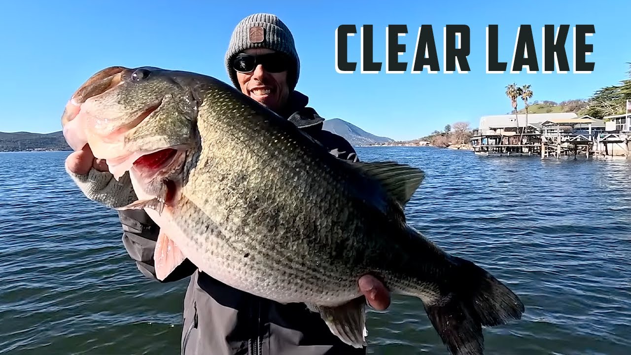 Clear Lake is LOADED With Massive Bass