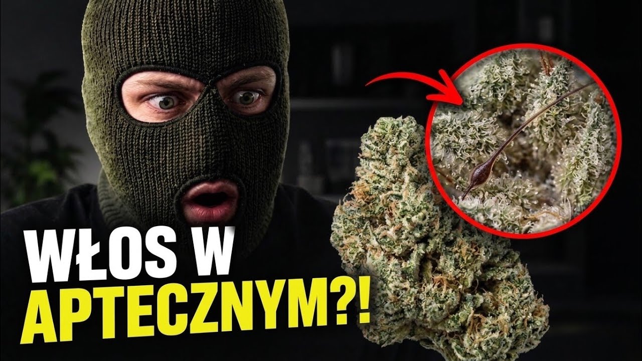 NAJLEPSZY SUSZ Z APTEKI ⚠️ GDYBY NIE&hellip;
