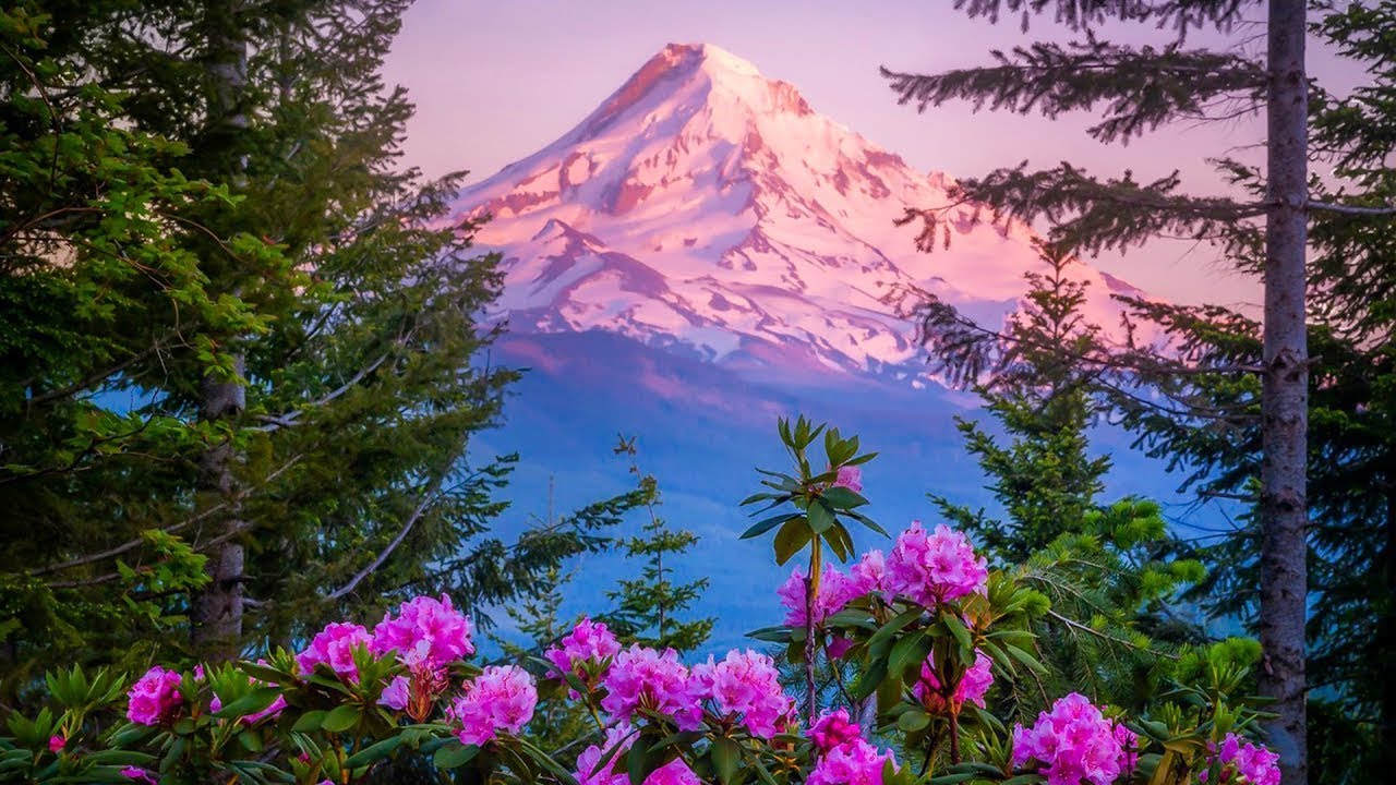 Gentle healing music for health and to calm the nervous system, deep relaxation