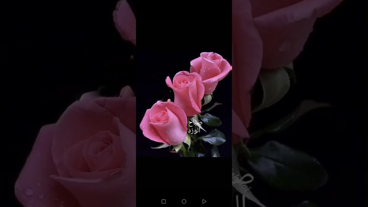 القارئ عبد الباسط عبد الصمد ماتيسر من سورة هود ويوسف