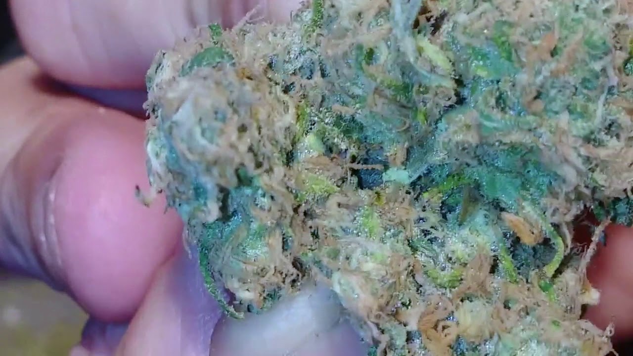 Strain Review MY Cinderella 99!!!
