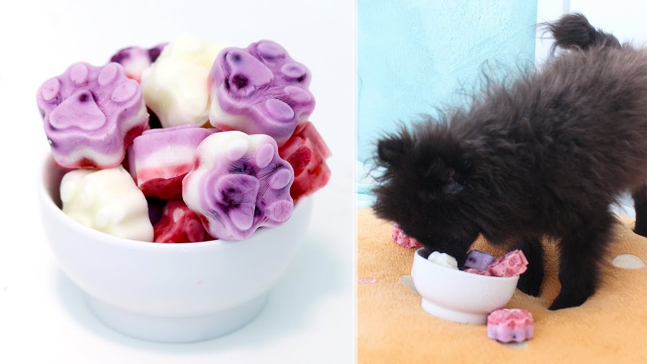 Frozen Yogurt Dog Treats | Memorial Day Dog Treats | Strawberry and Blueberry Dog Treats | RECIPE