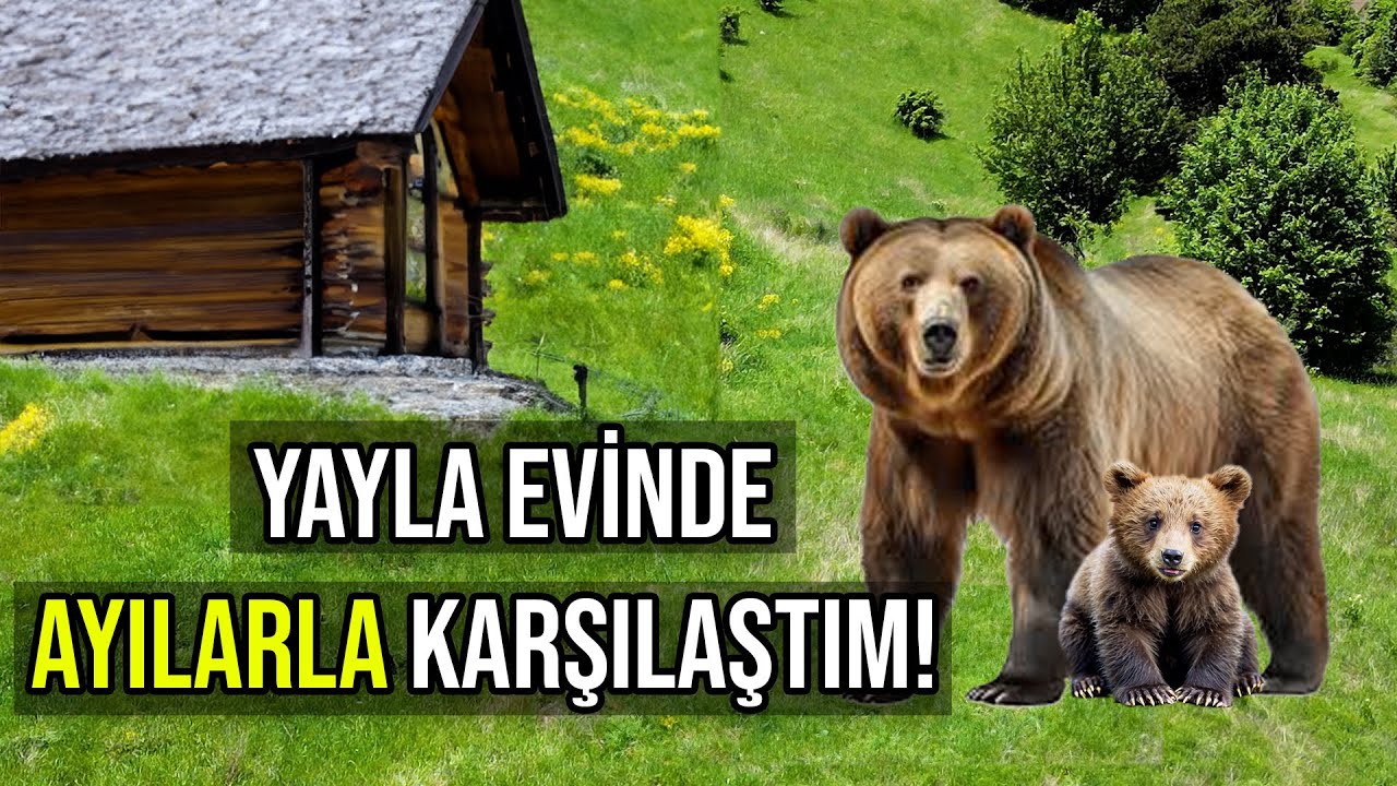 Köy Evine Gelen Davetsiz Misafirler! Sivas'ın Vahşi Doğasında Bir Gün