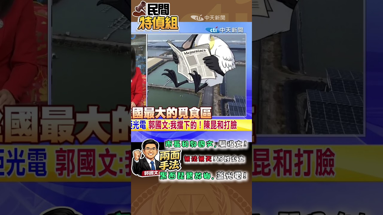 七股光電重災區！綠委稱擋光電的兩面手法【#民間特偵組 235-3】#SHORTS #民間特偵組 #七股光電 #陳昆和 #黑面琵鷺 #郭國文 #黃偉哲