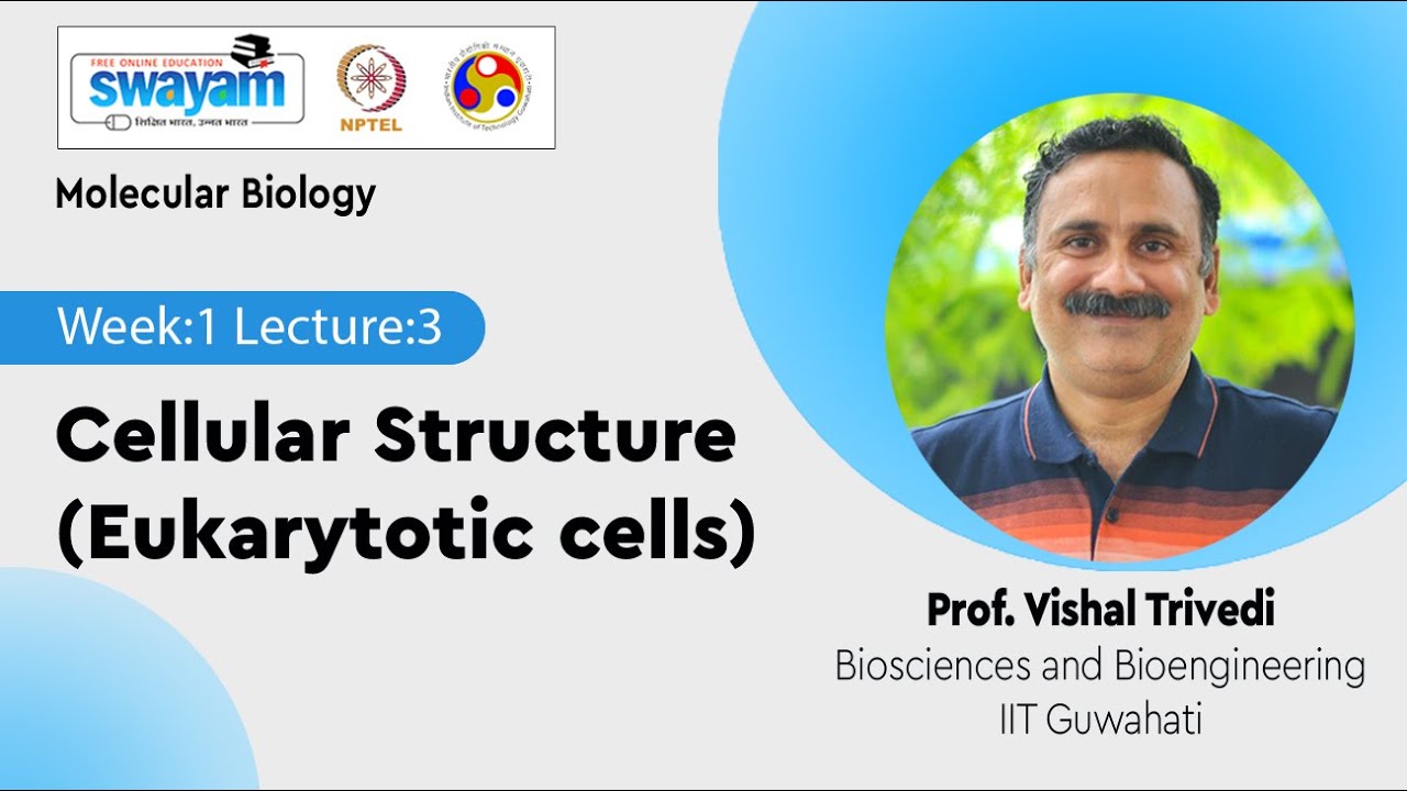 Lec 3: Cellular Structure (Eukarytotic cells)