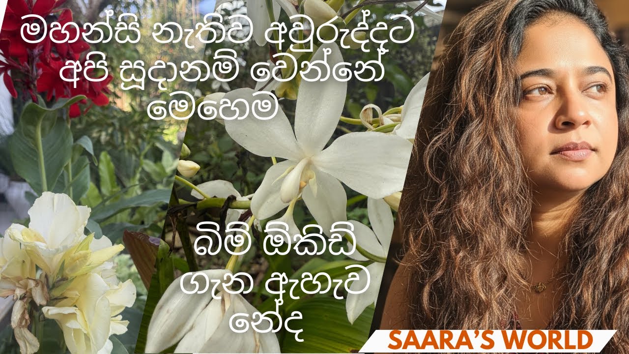 අපිත් ඉතින් අවුරුද්දට ලෑස්ති වෙන ගමන් 🫶#gardendecor #nature #natureflowers #mylife 
