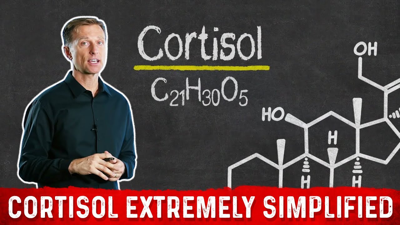 What is Cortisol? and How Stress Causes Weight Gain? &ndash; Dr. Berg