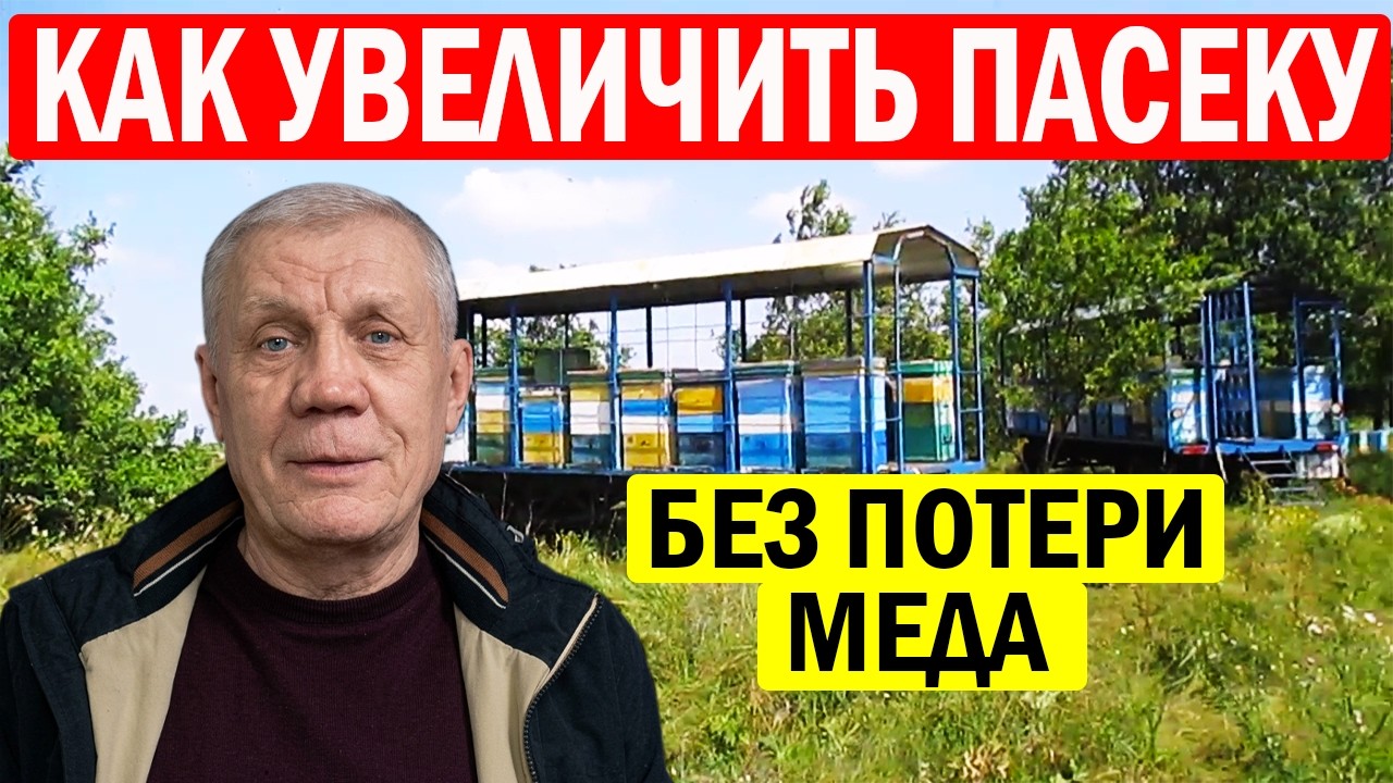 Как быстро увеличить пасеку? Технология о которой мало кто знает !