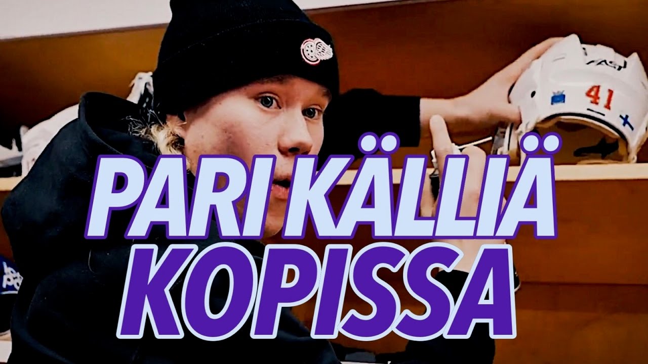 LUISTIMIEN TEROTUS JOKEREITTEN KOPISSA