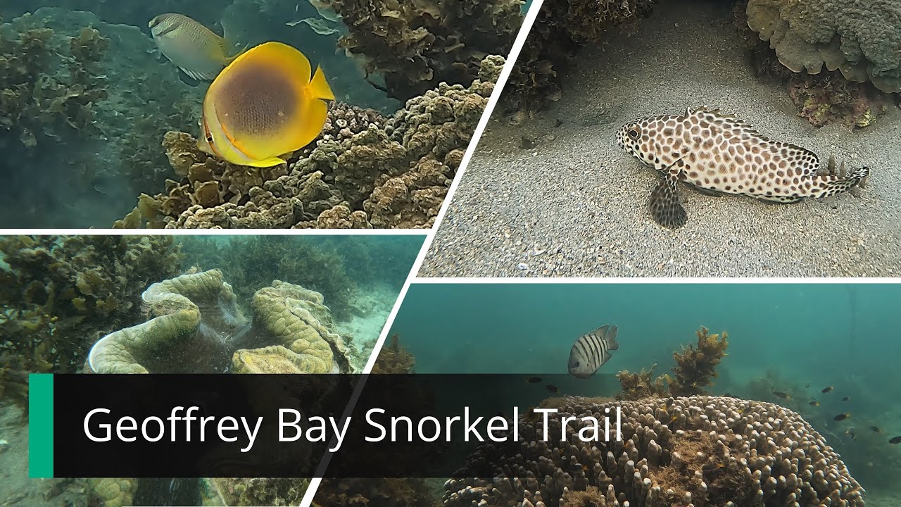 Geoffrey Bay Snorkel Trail - Diving Magnetic Island