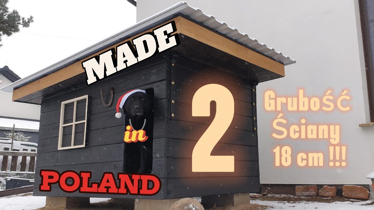 #2 Tak powstała PSIA BUDA KUNDLA - 30 dni pracy ! #doghouse #buda #pies