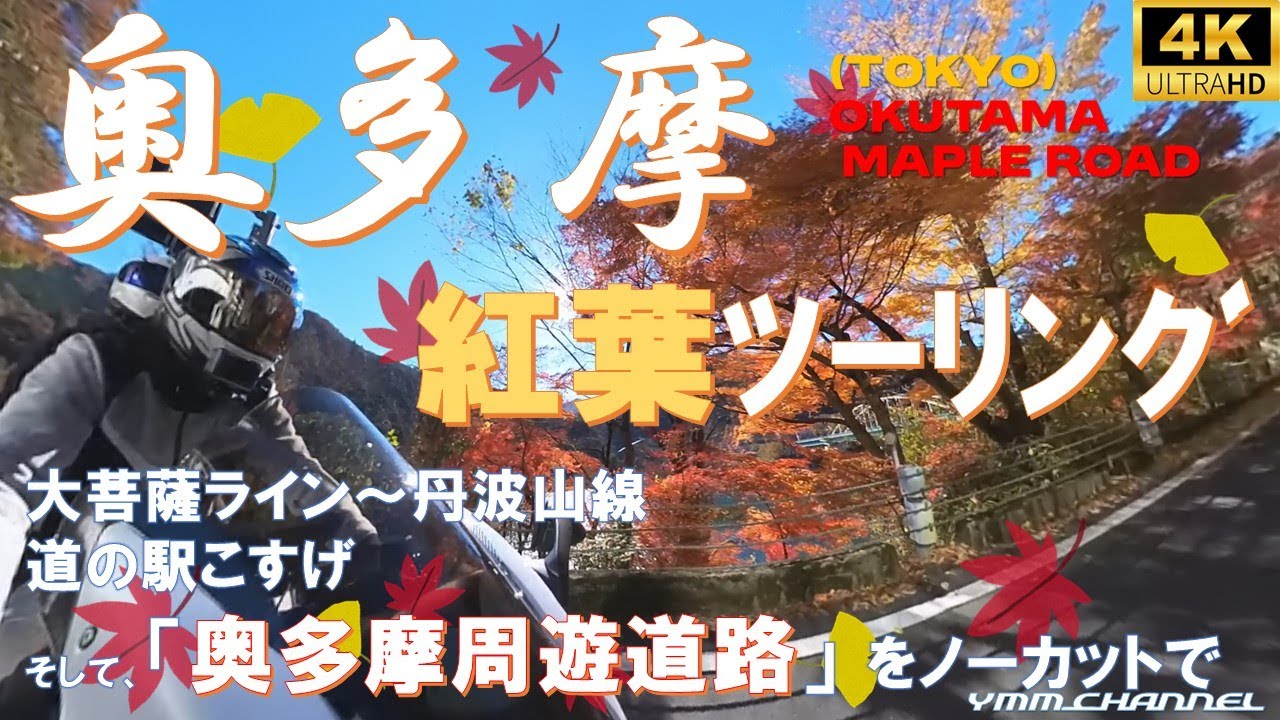 【奥多摩】大菩薩ラインから丹波山線で小菅に抜け、奥多摩周遊道路を巡り、紅葉した奥多摩を満喫！【4K高画質】#奥多摩 #猿 #丹波山村 #こすげ#hayabusa #タンデム #奥多摩湖 #ツーリング