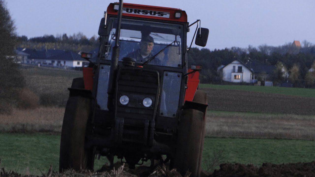 Orka Zimowa po kukurydzy- Ursus 5314 w akcji