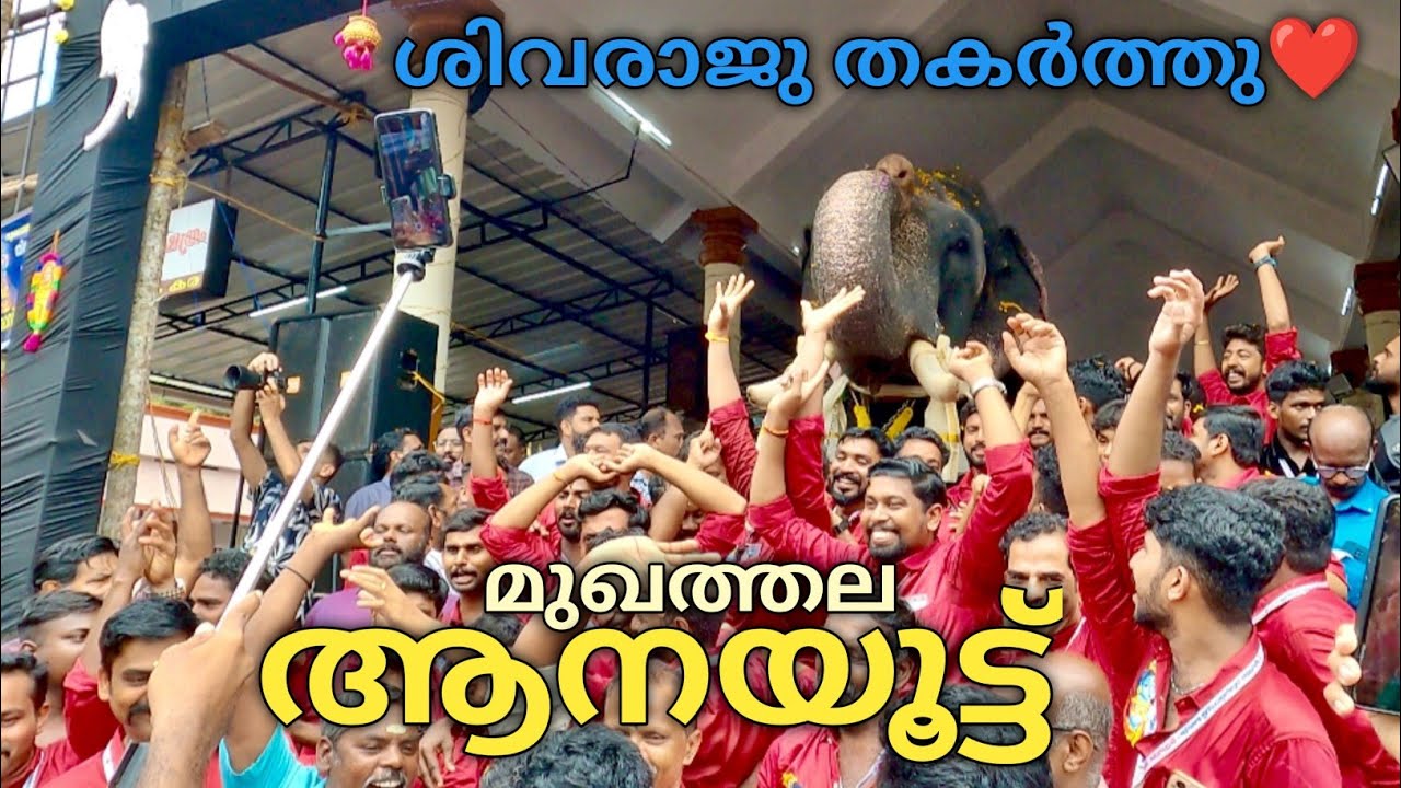 കടവൂരാൻ നായകനായ മുഖത്തല ആനയൂട്ട് 2025| Mukhathala Sreekrishna Swami Temple| Mukhathala Aanayoottu