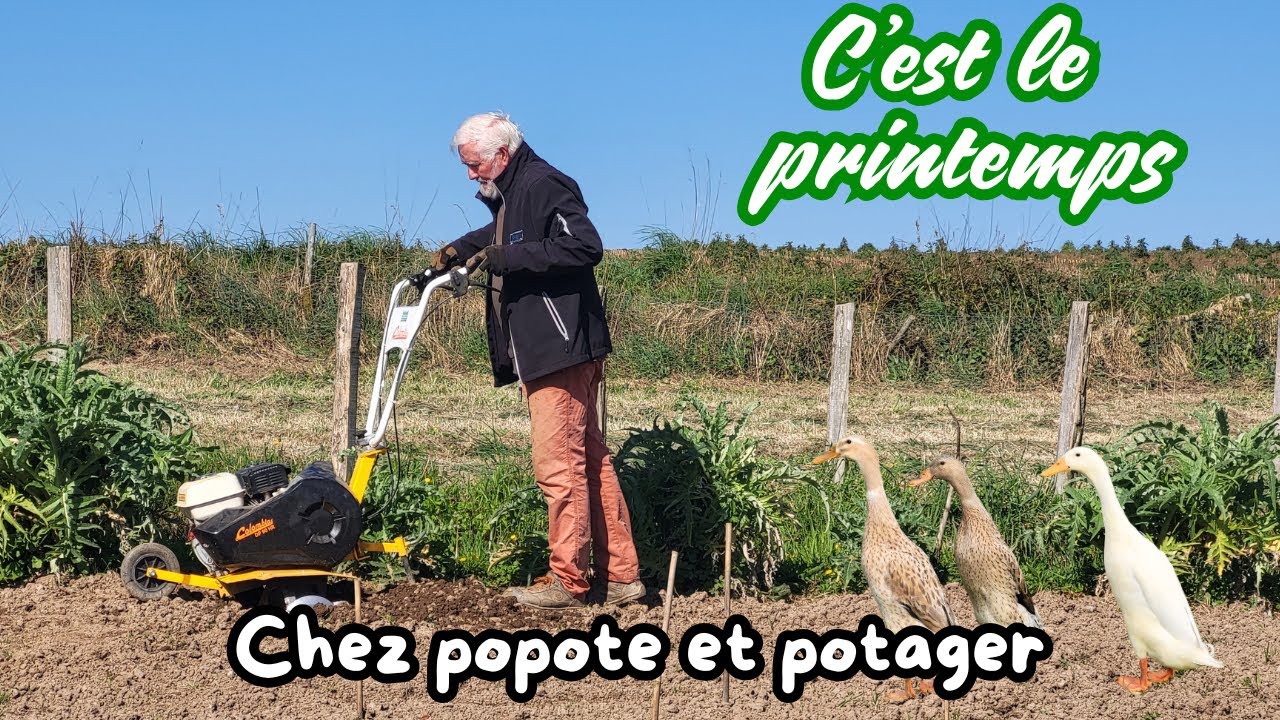 QUE FAIRE DANS LE POTAGER AU DEBUT DU PRINTEMPS ?