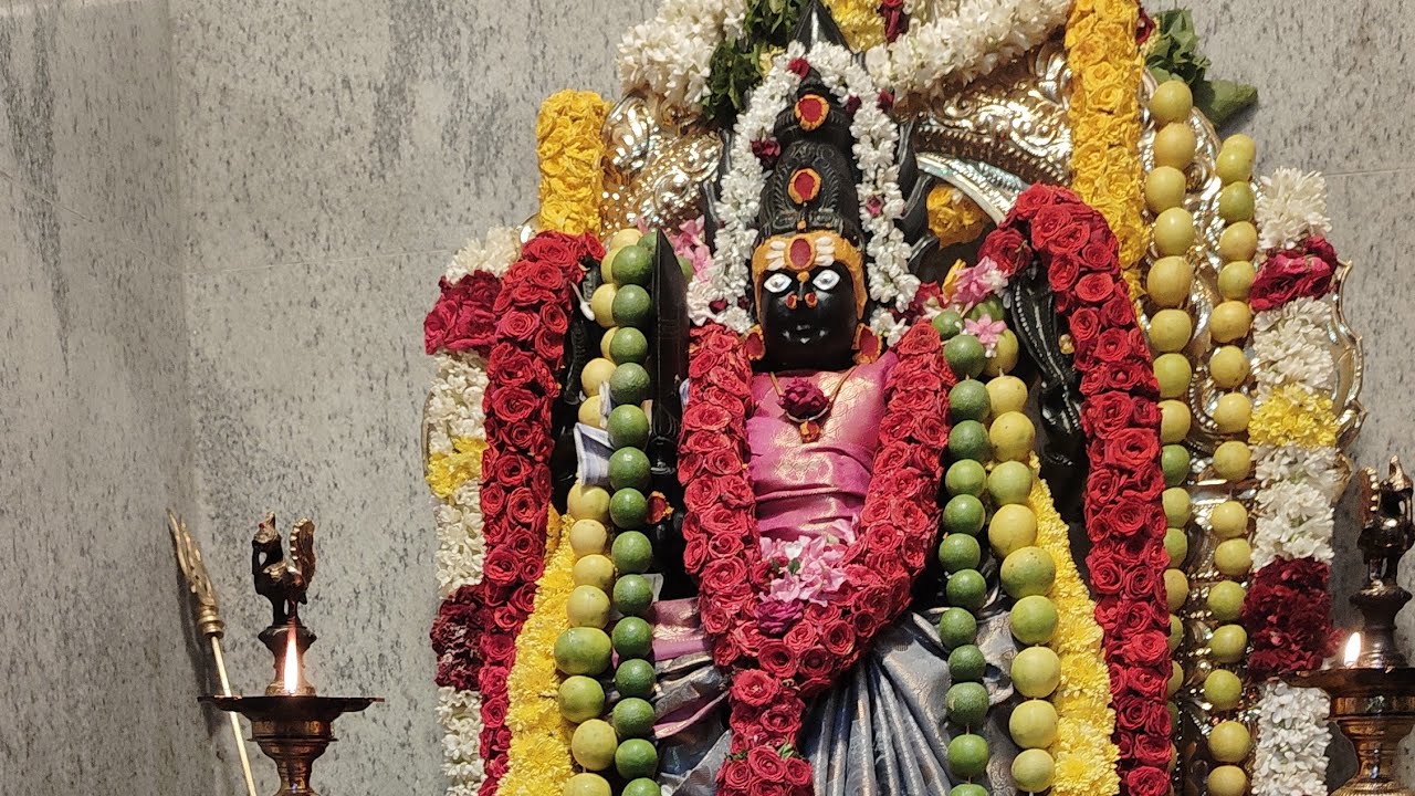 பூ மாரியம்மனுக்கு முதல் உயிரூட்டல் கும்பாபிஷேக விழா கருதாம்பாடிபுதூர் கெட்டிசெவியூர் 