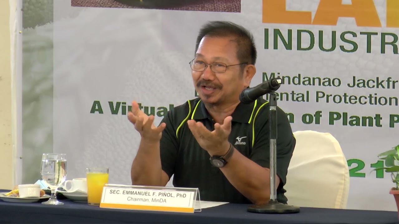 Hass Avocado, Jackfruit Launched As Mindanao's New Agro-Industrial Crops