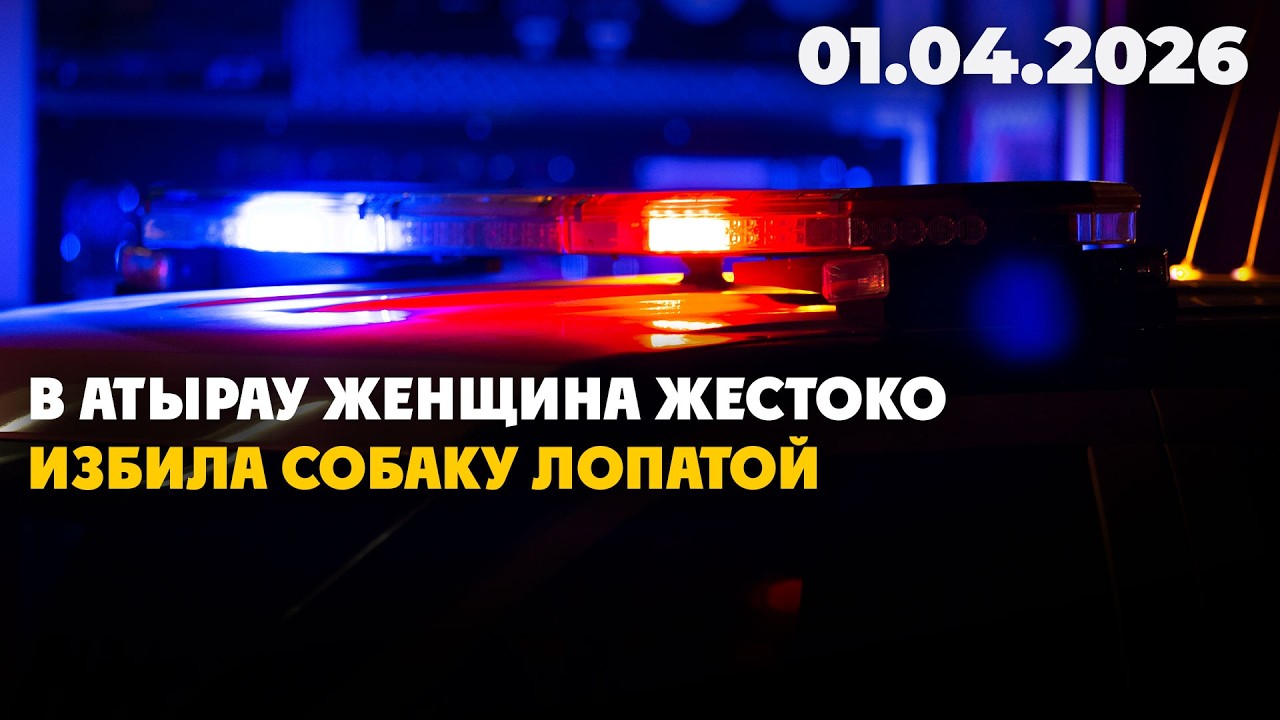 В Атырау женщина жестоко избила собаку лопатой | 01.04.2026