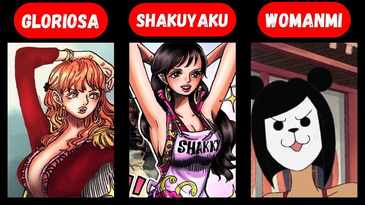 All Female Characters in One Piece