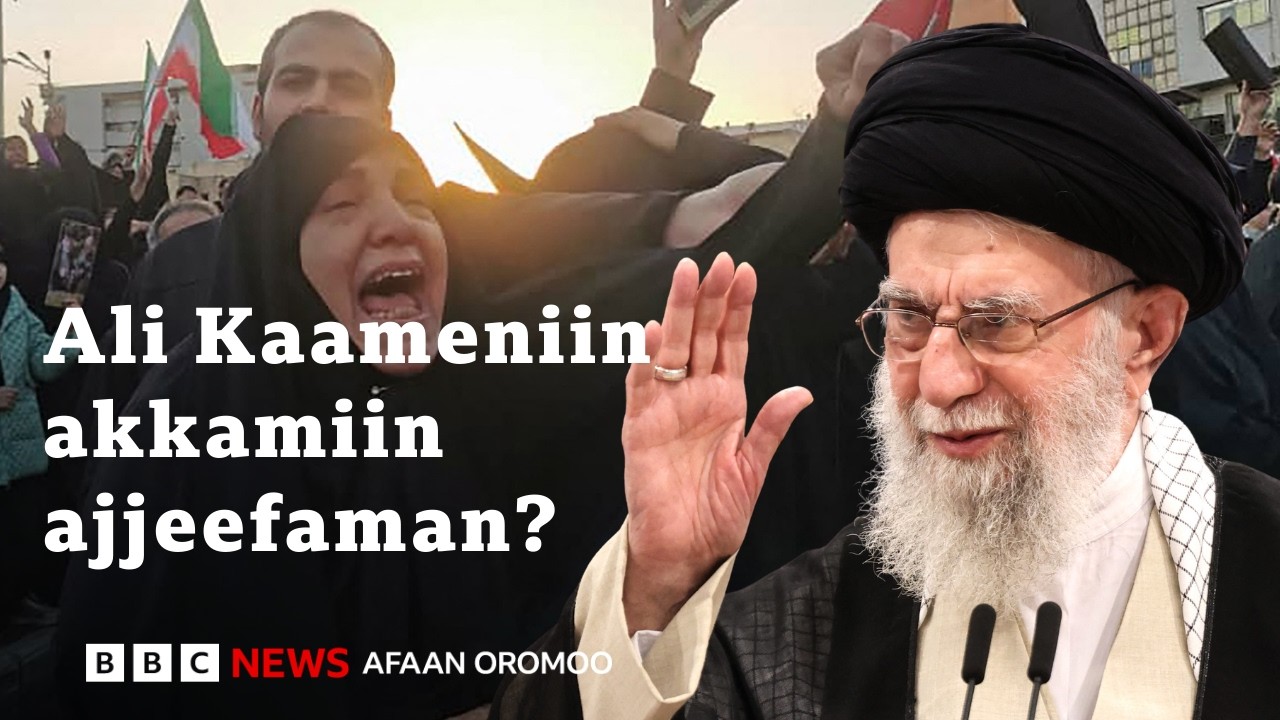 Waraana US - Israa'el fi Iraan hammaateen waan ta'aa jiruufi ta'uuf jiru | BBC News Afaan Oromoo