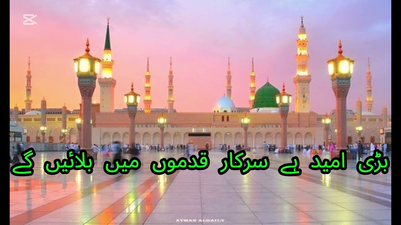 Bari umeed hai #islam #islamicvideo #trending #cutewhatsap #cute
