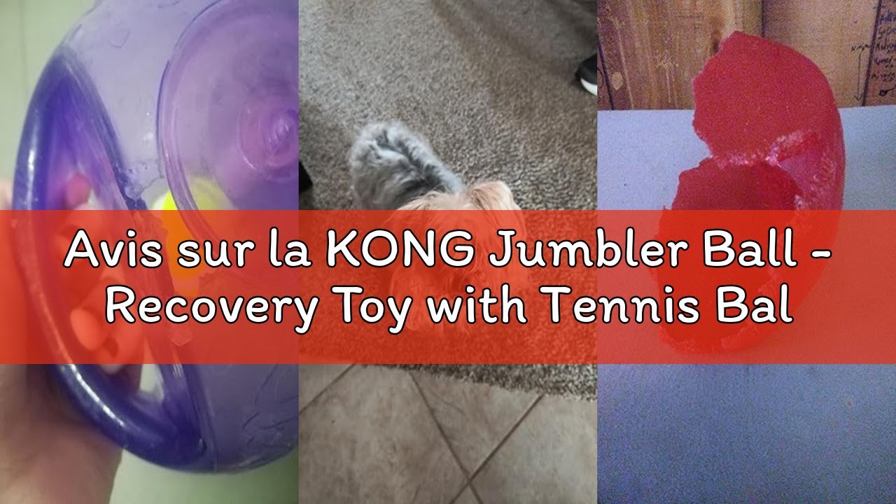 Avis sur la KONG Jumbler Ball - Recovery Toy with Tennis Ball for Dogs and Puppies - for Medium/Larg