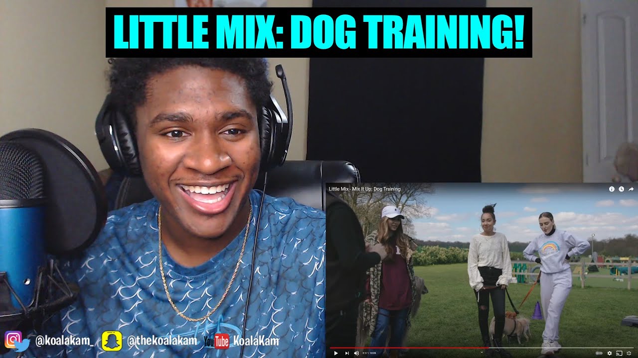 WHY THEY DID JADE LIKE THAT!? Reacting To Little Mix - Mix It Up: Dog Training!