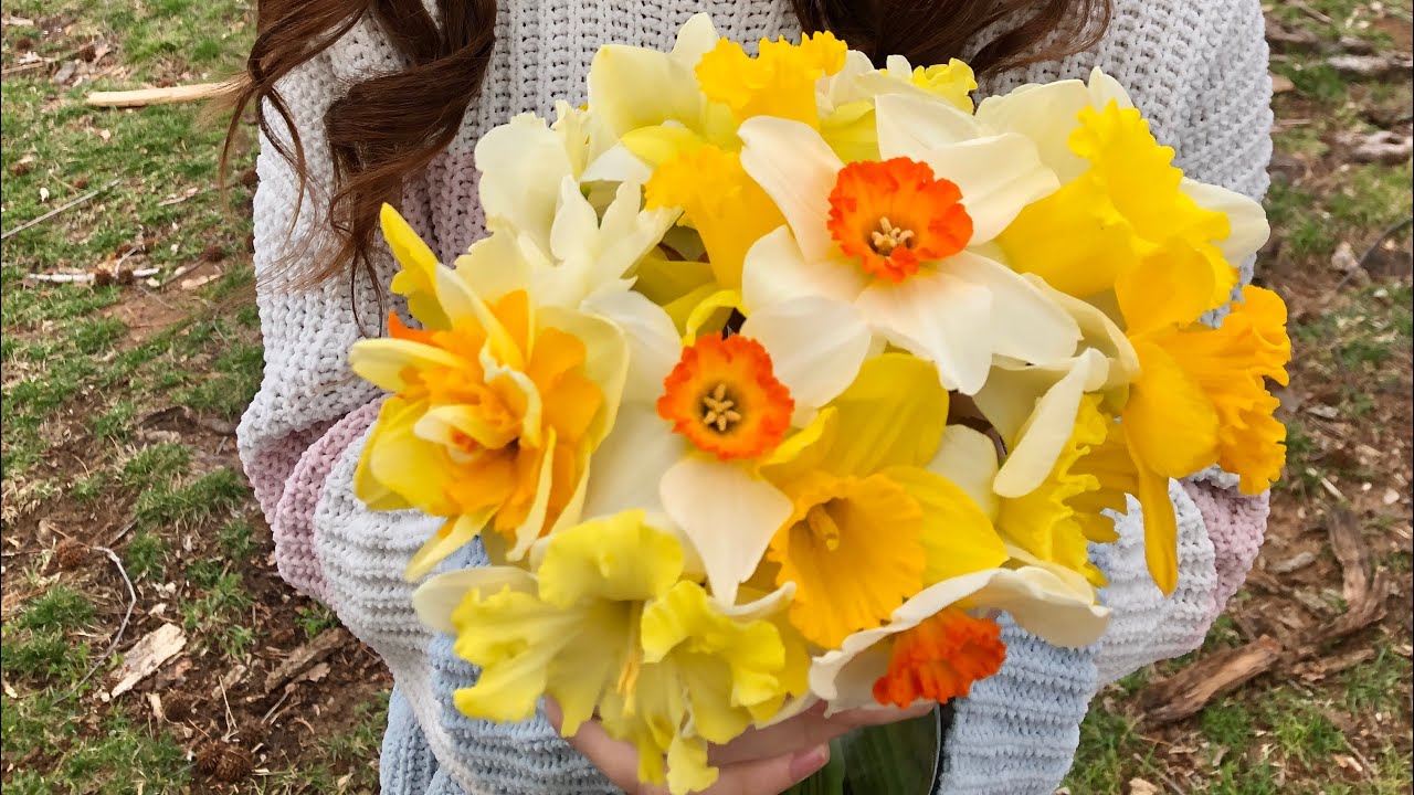 Update from the Farm