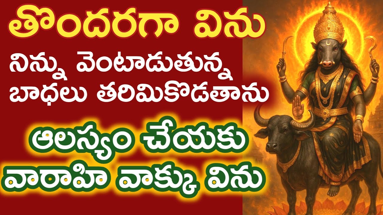 త్వరగా విను నీకష్టాలన్నీటికి ముగింపు ఇప్పుడే నిర్లక్ష్యం వద్దు వారాహిమాట విను |varahidevi miracle
