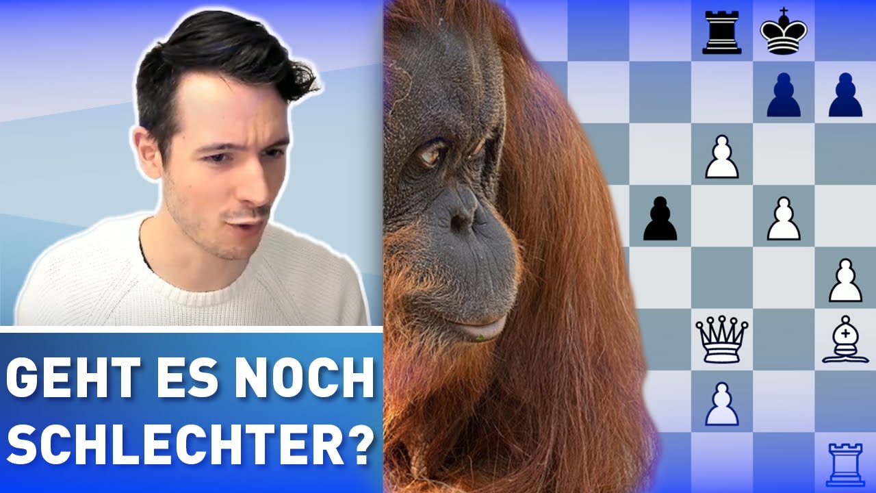 ORANG-UTAN oder GROBS ANGRIFF - was ist schlechter?