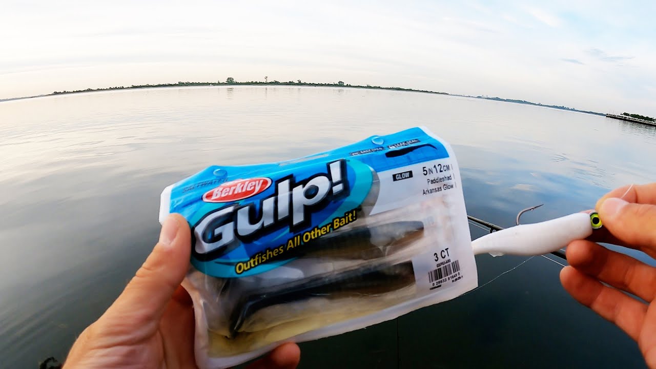 Berkley Gulp! Paddleshad for Striped Bass & Blue Fish | NYC