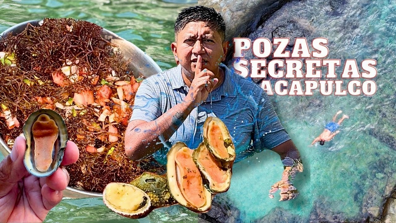 Explorando las POZAS SECRETAS de Acapulco ¡Encontramos Algas Marinas y Cucarachas de Mar!