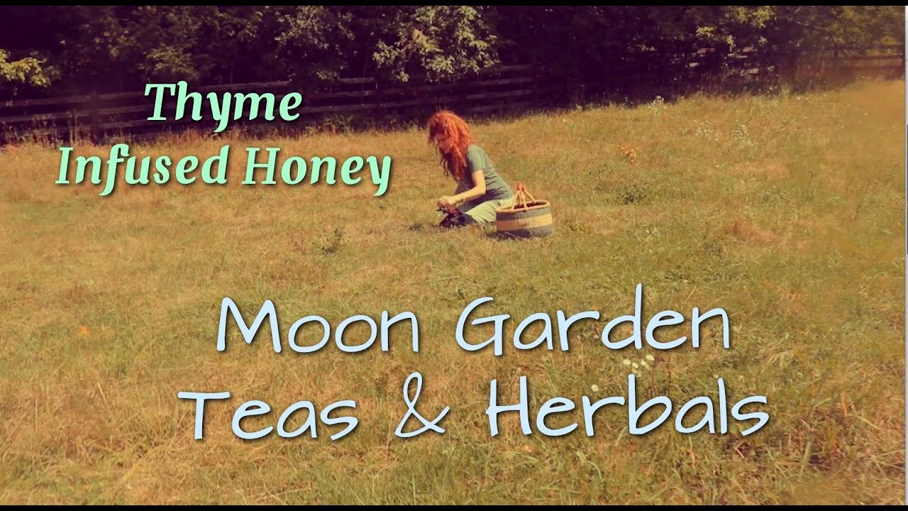 Thyme Infused Honey