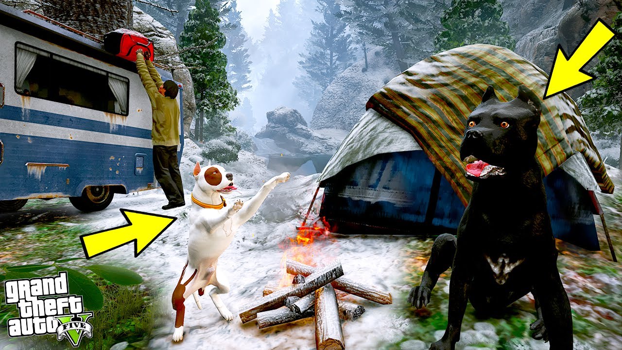 YAVRU PİTBULL AMCASI CANE CORSO HIRÇIN'LA AVA GİDİYOR! - GTA 5