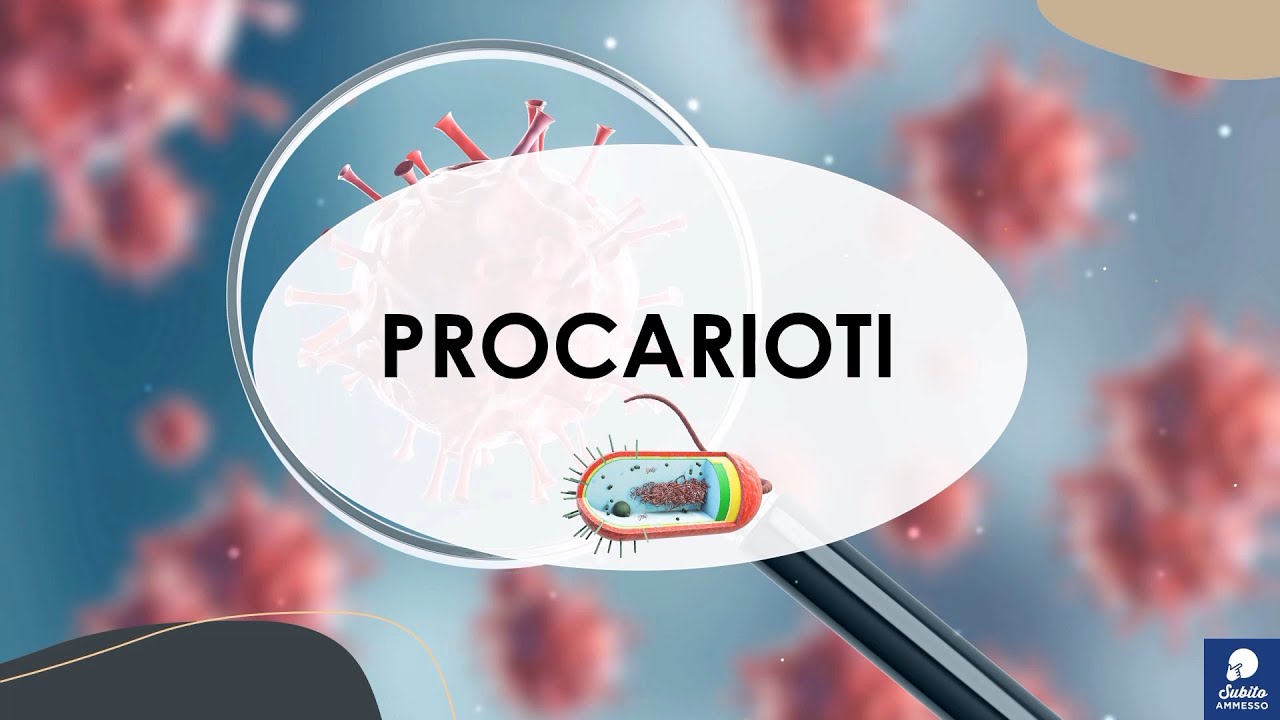 I procarioti