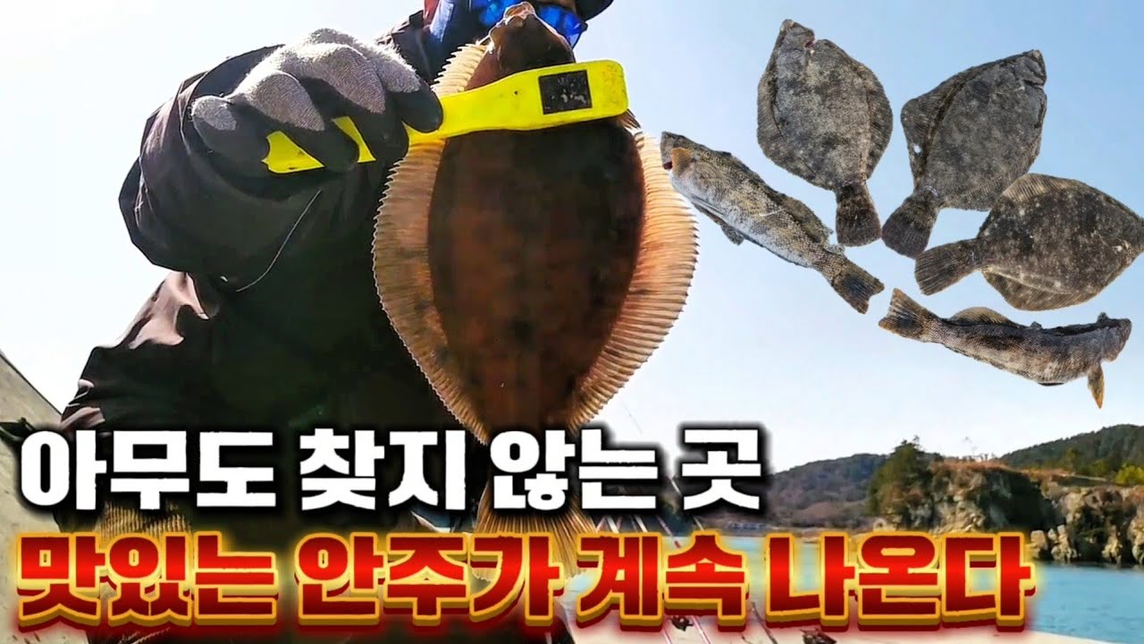 조용한 방파제에서 이 방법을 썼더니(!?) 고기가 미친듯이 나온다 #거제도다리 #거제원투낚시 #창원투