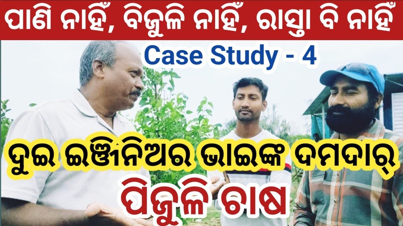 Commercial Guava Farming in Odisha | Organic Guava Farming by Two Engineer Brothers in Odisha