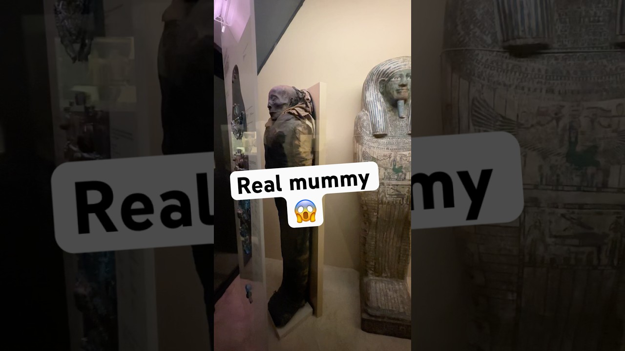 Chicago&rsquo;s Field Museum: where mummies rest and fossils speak #fieldmuseum #chicago #یوتیوب_فارسی