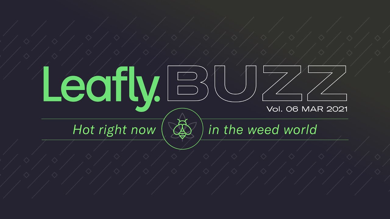 Leafly Buzz Vol. 06 🐝 March 2021 Edition