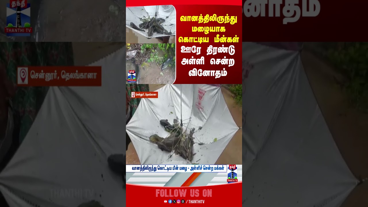 Telangana || Fish || Rain