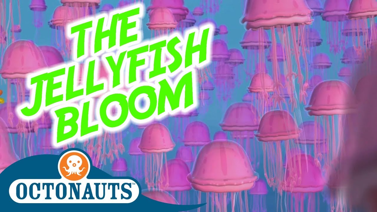 Octonauts - The Jellyfish Bloom | Full Episode | Cartoons for Kids