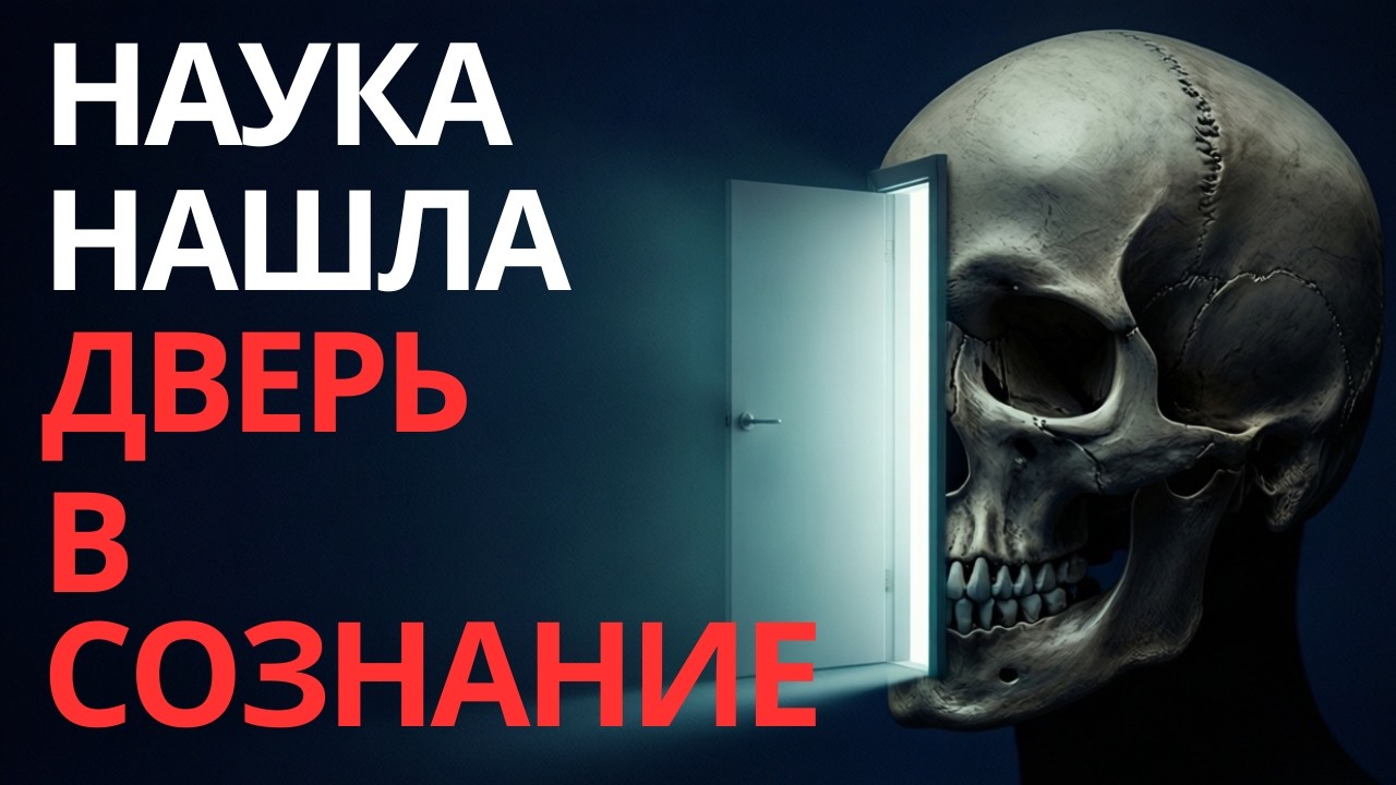 Реальный интерфейс между материей и сознанием: что скрыто внутри нас ?