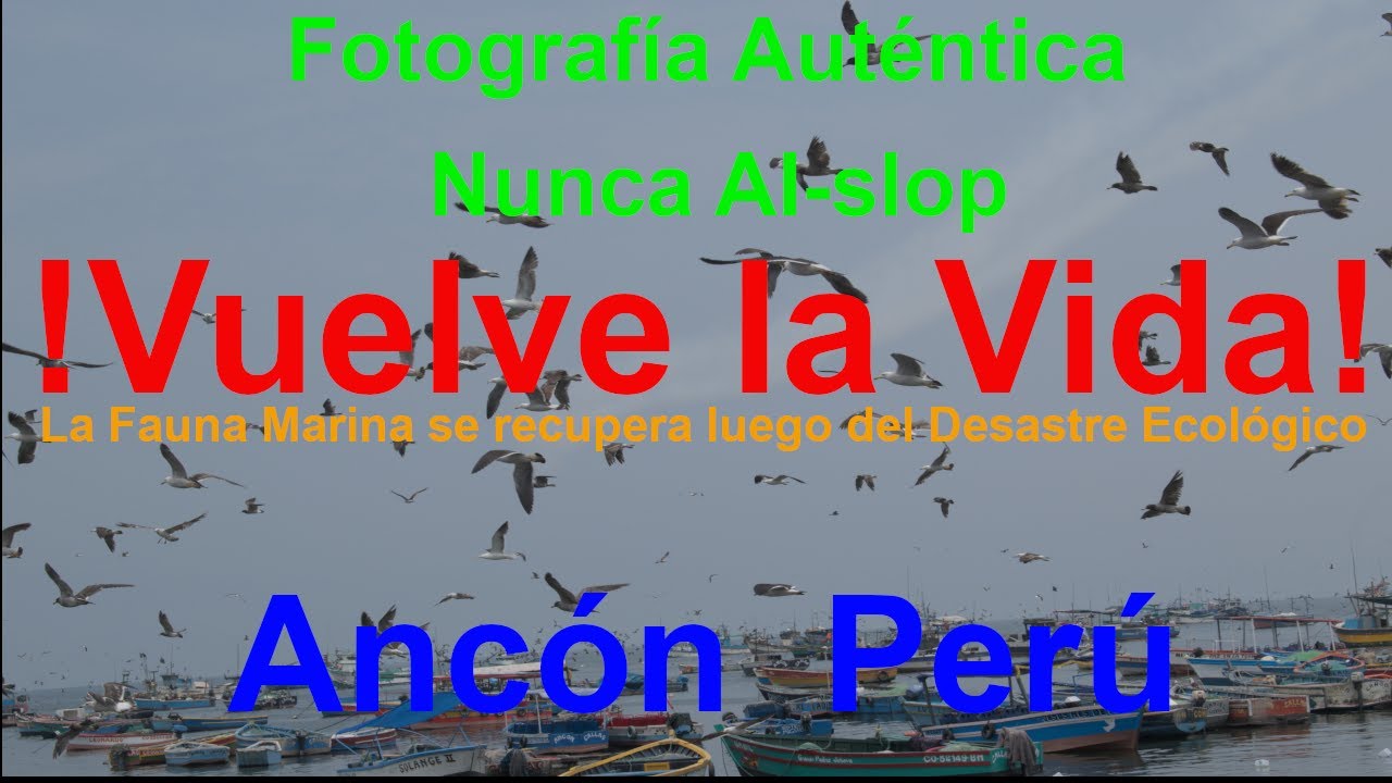 Ancón 2026: ¡Vuelve la Vida al Muelle, pero el Regreso es un INFIERNO! NUNCA AI Basura JAMÁS AI-slop