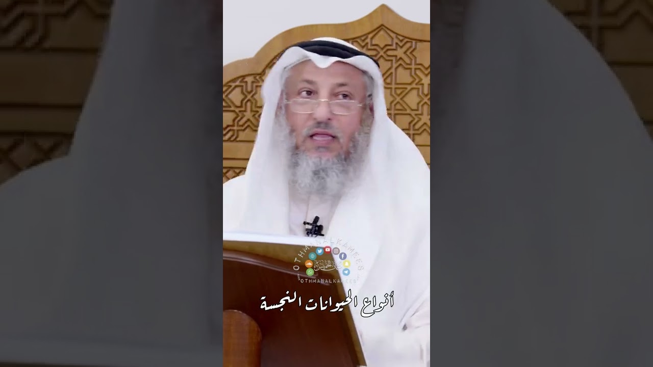 أنواع الحيوانات النجسة - عثمان الخميس