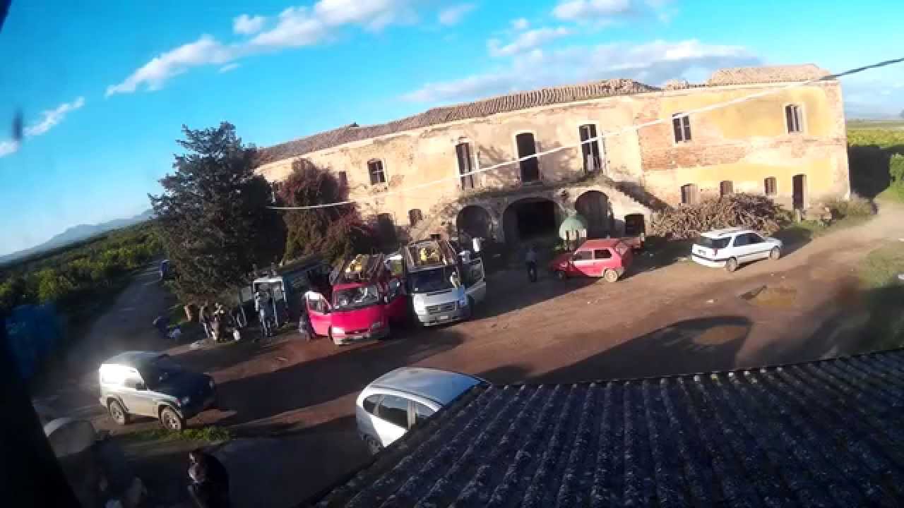 nKiaTV - Raccolta arance 2014 a Belpasso